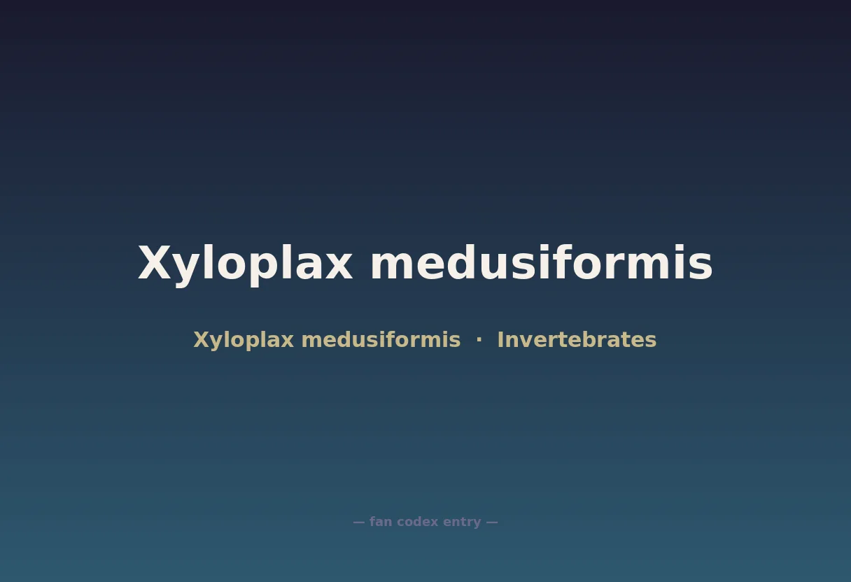 Xyloplax medusiformis
