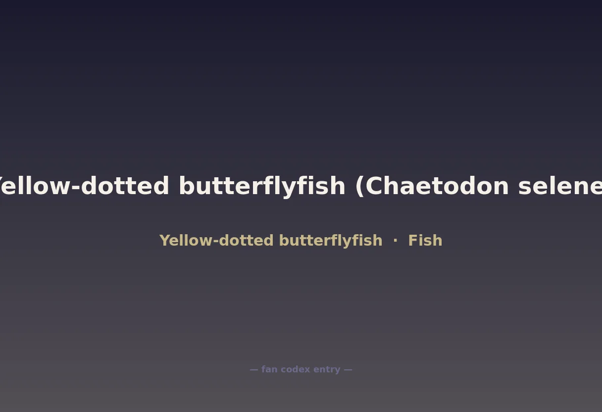 Yellow-dotted butterflyfish (Chaetodon selene)