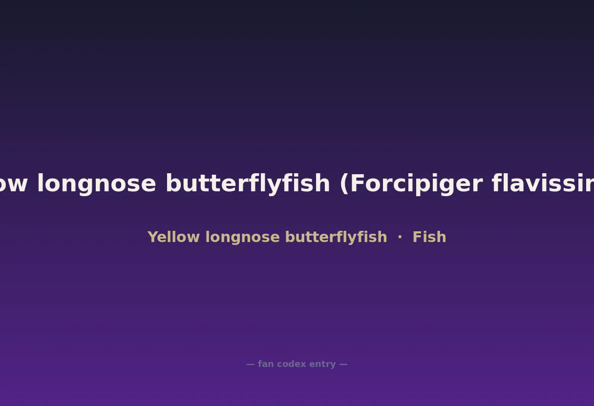 Yellow longnose butterflyfish (Forcipiger flavissimus)