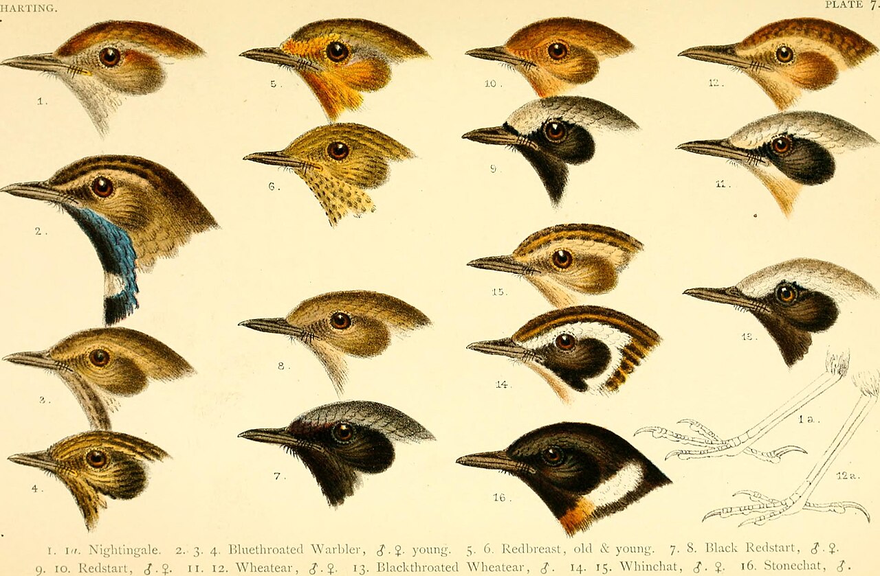 Distribution and occurrence records