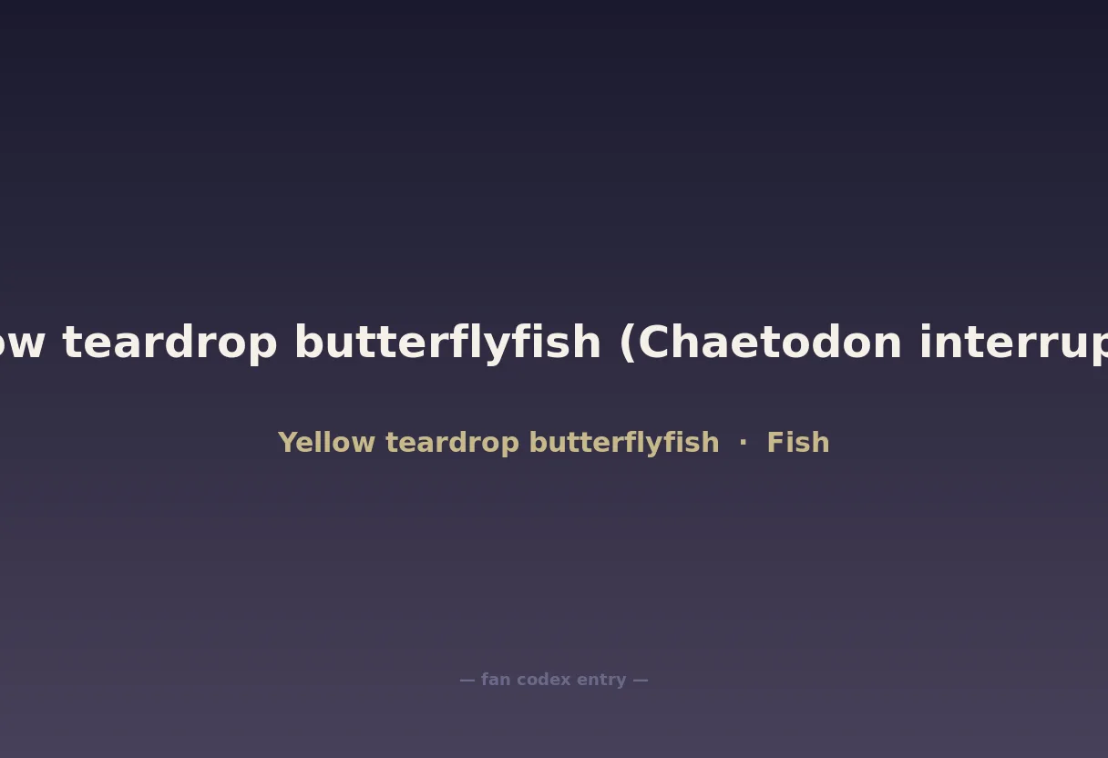 Yellow teardrop butterflyfish (Chaetodon interruptus)