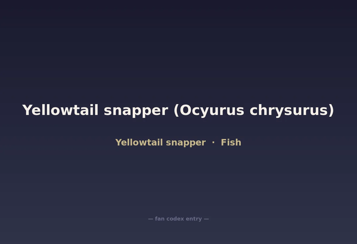 Yellowtail snapper (Ocyurus chrysurus)