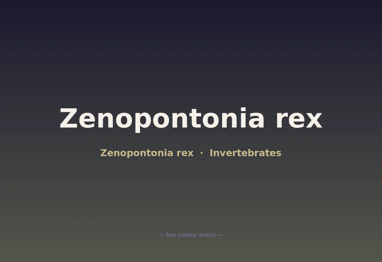 Zenopontonia rex