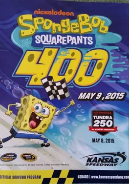 2015 SpongeBob SquarePants 400