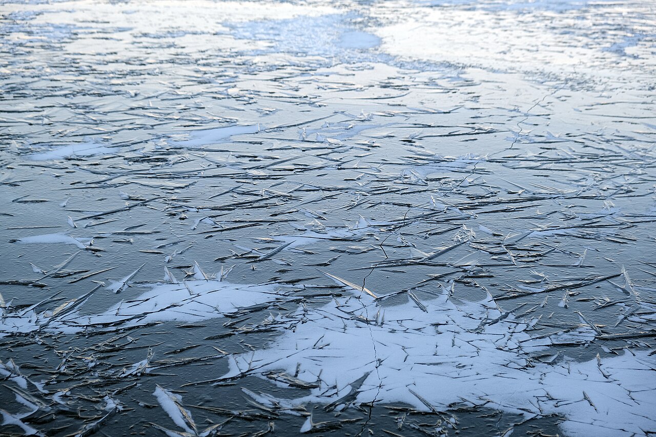 Frozen (2010 American film)