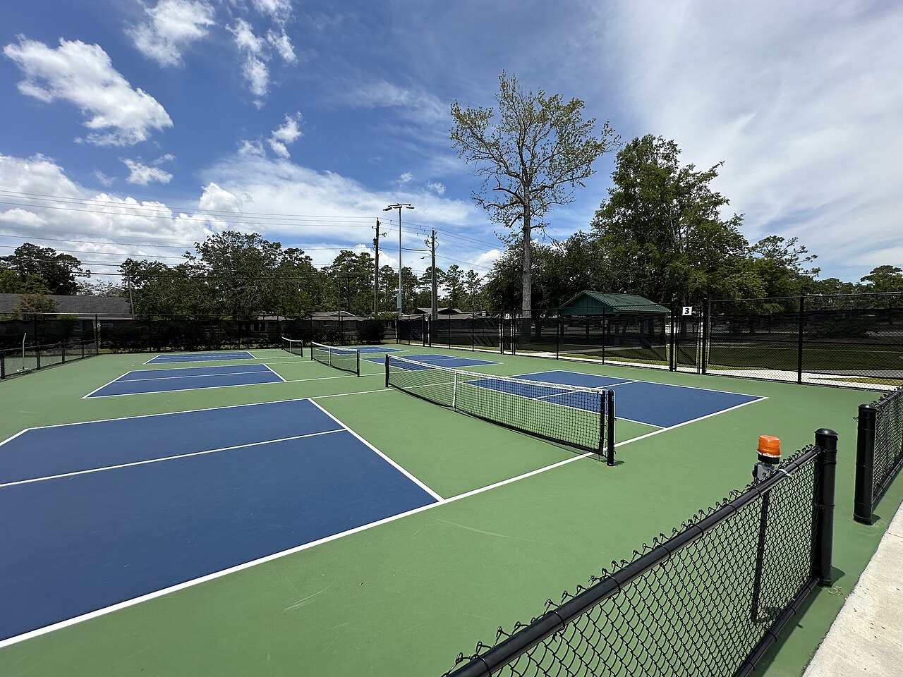 Bill Bell (pickleball)