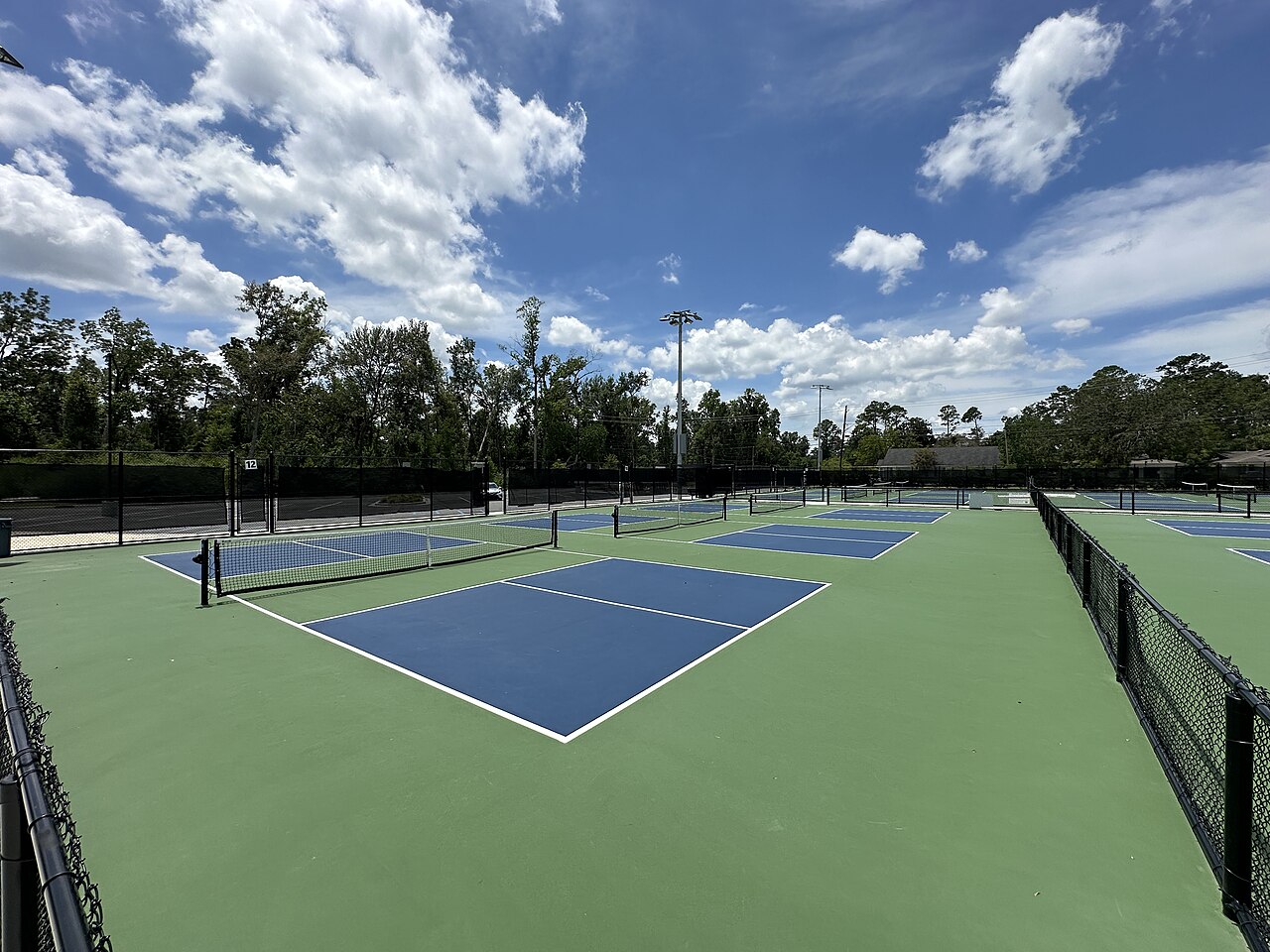 Bill Bell (pickleball)