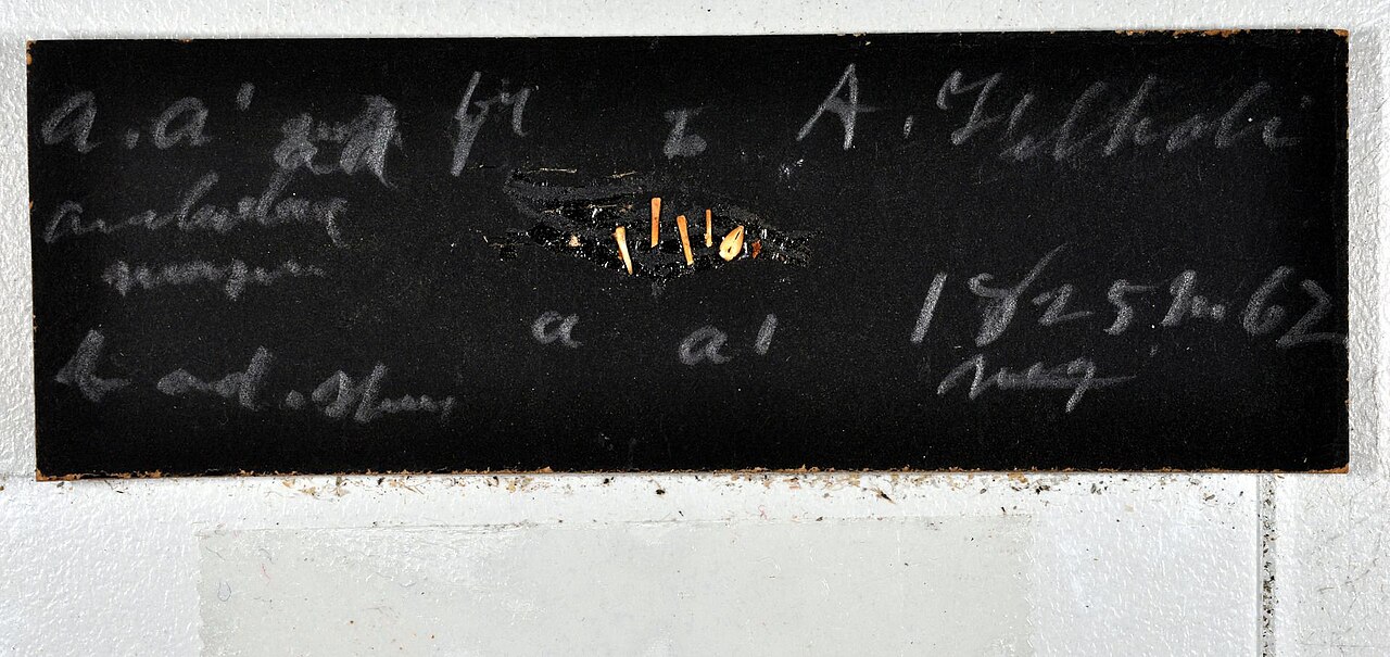 Astrometis