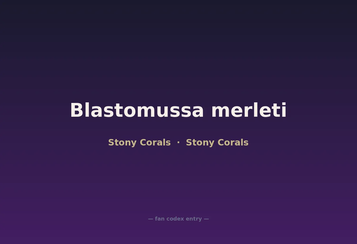 Blastomussa merleti