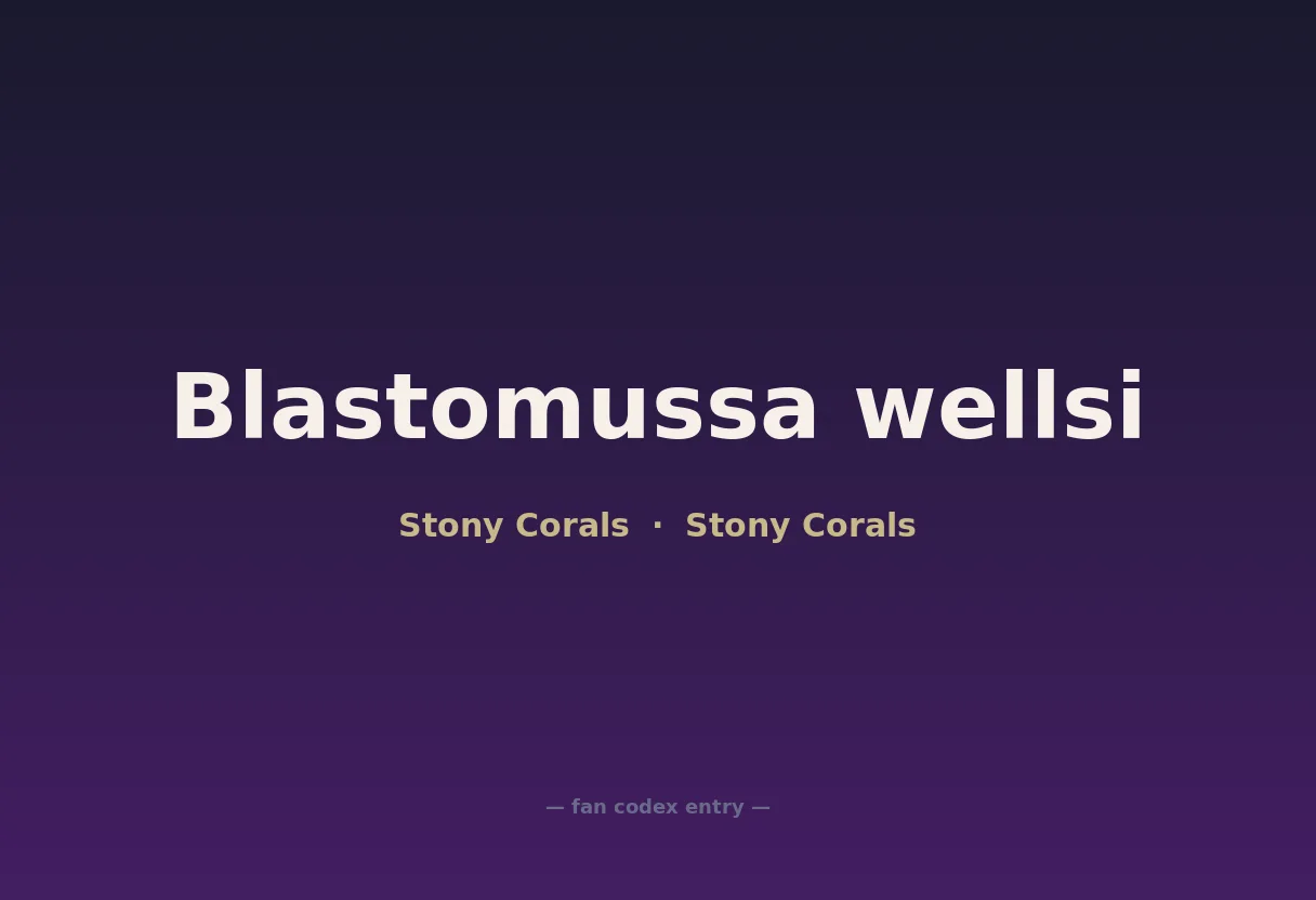 Blastomussa wellsi