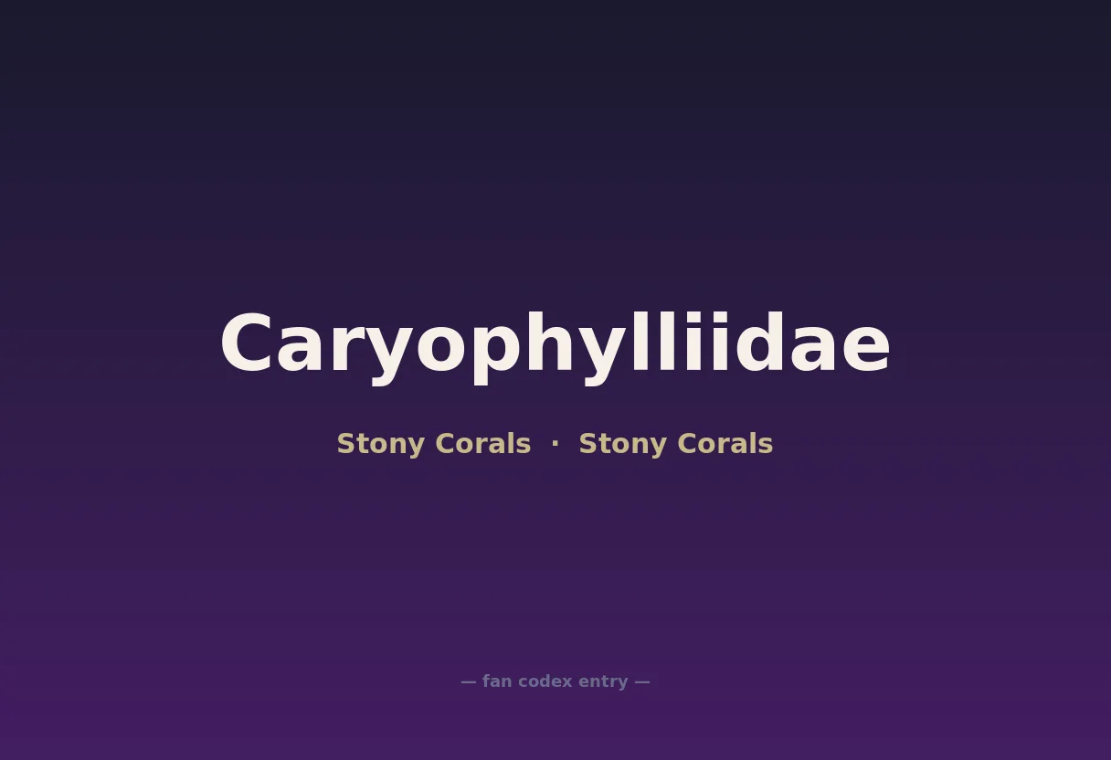 Caryophylliidae