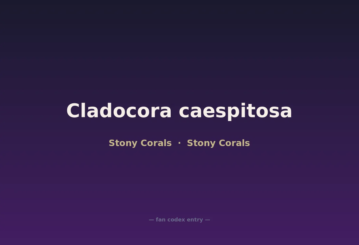 Cladocora caespitosa