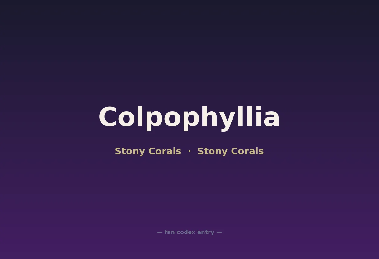 Colpophyllia