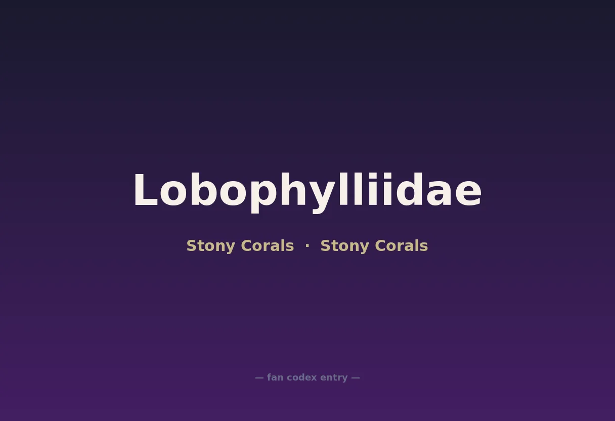 Lobophylliidae