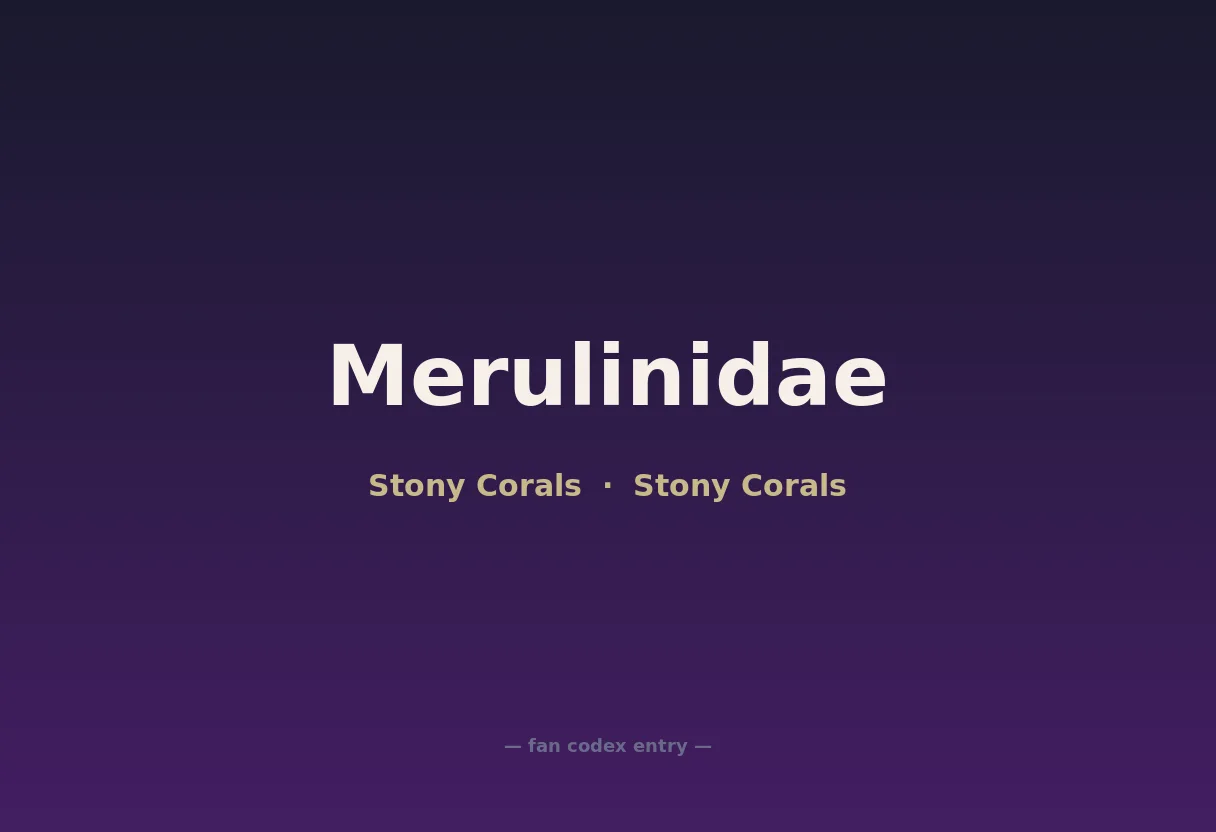 Merulinidae