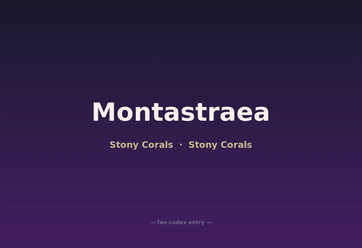 Montastraea