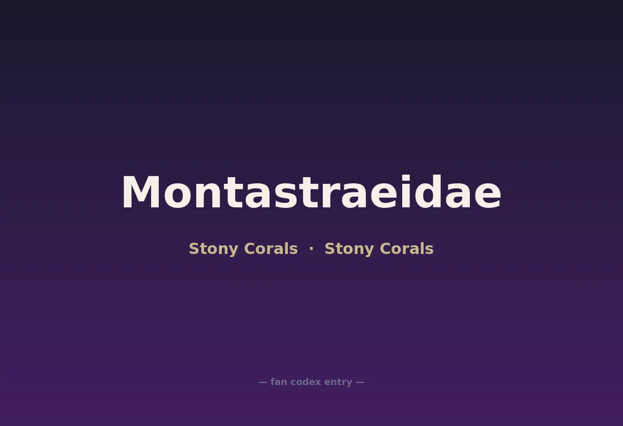 Montastraeidae