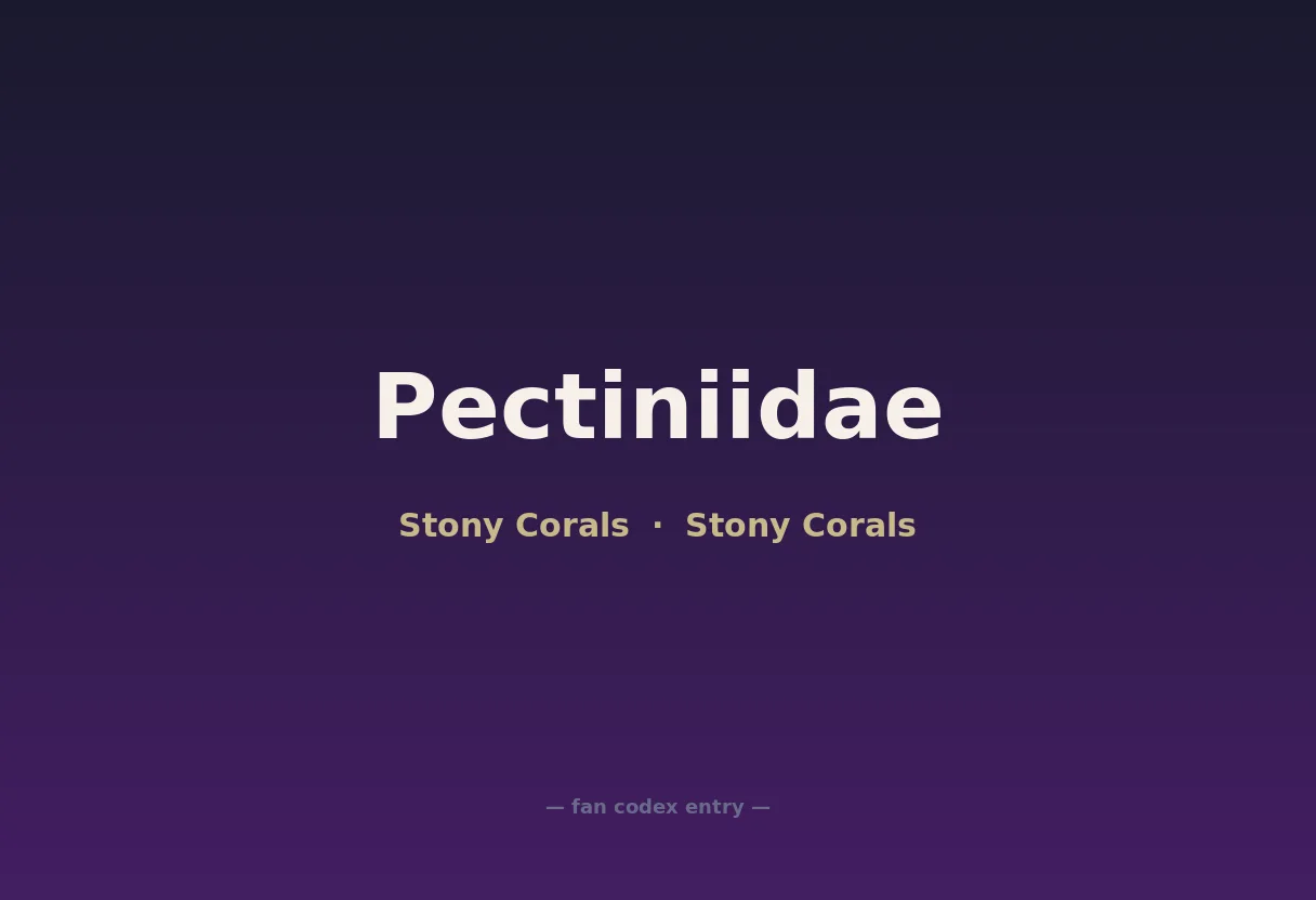 Pectiniidae