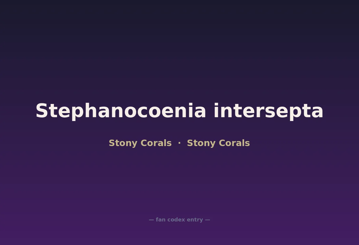 Stephanocoenia intersepta