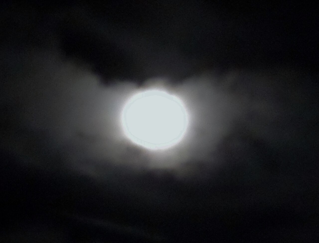 Harvest Moon (video game)