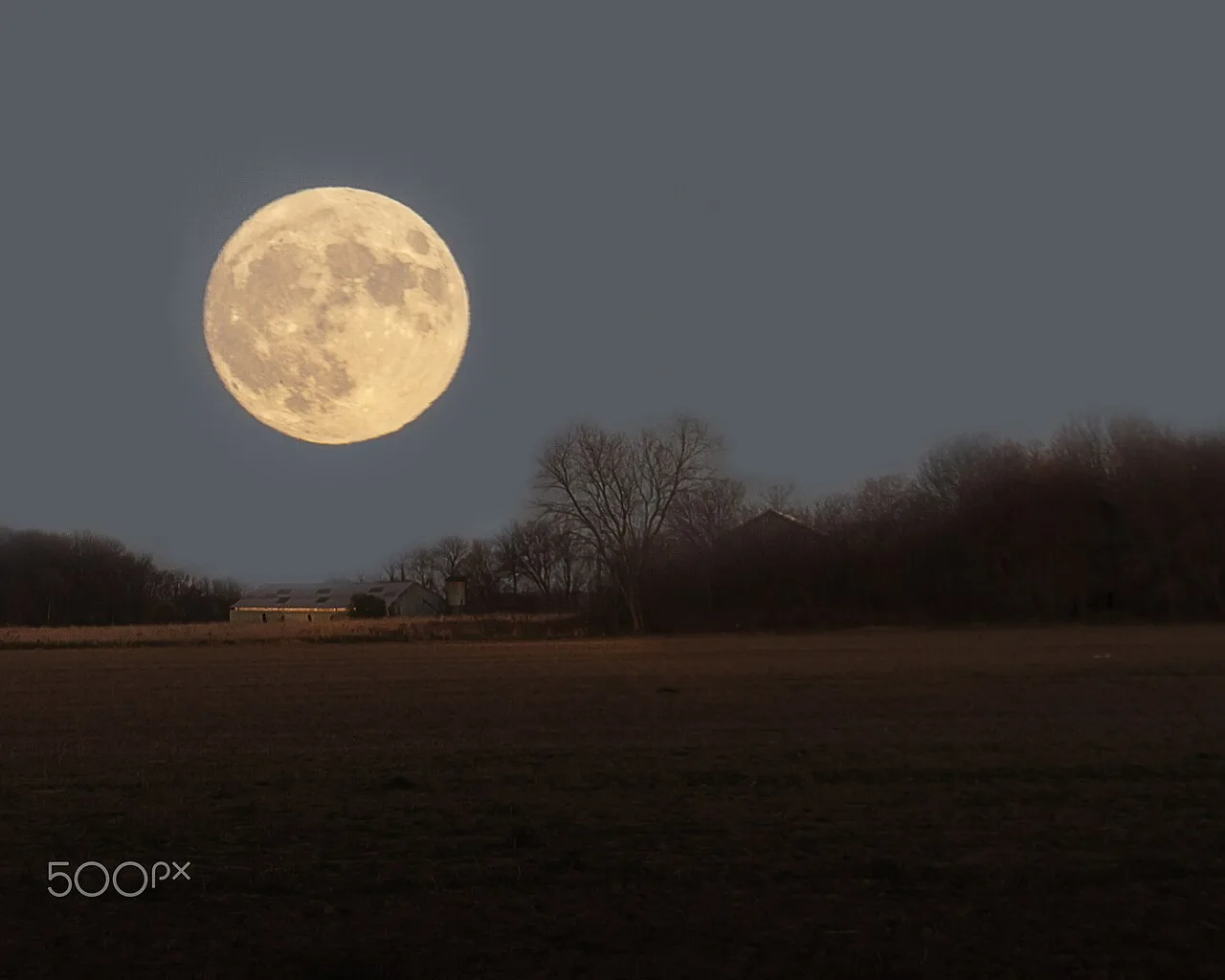 Harvest Moon (video game)