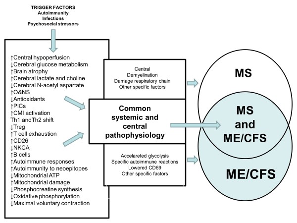 17417Myalgic encephalomyelitis chronic fatigue syndrome