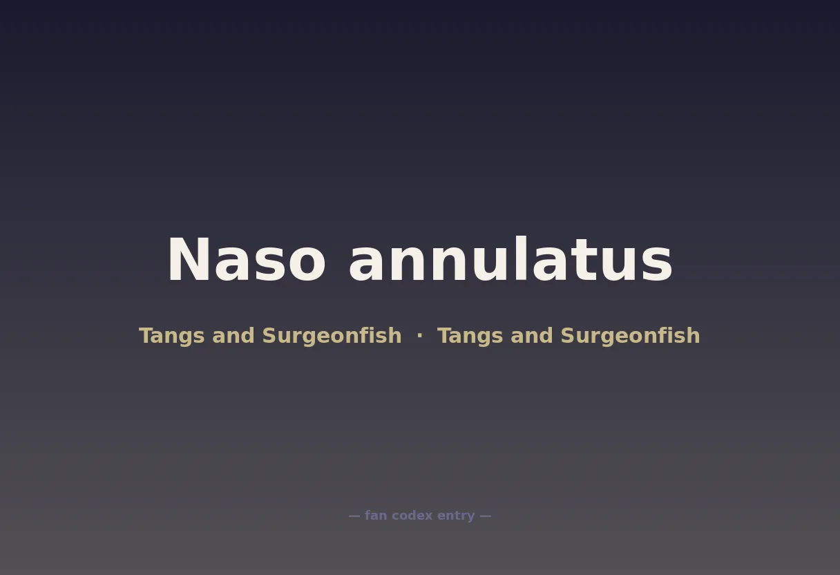 Naso annulatus
