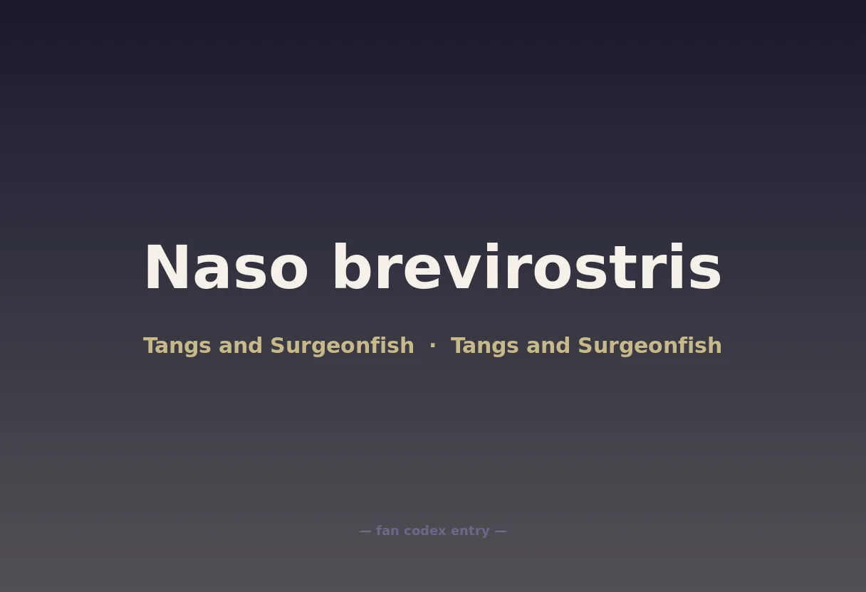 Naso brevirostris
