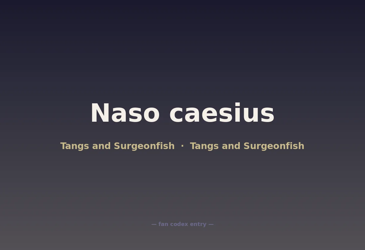 Naso caesius