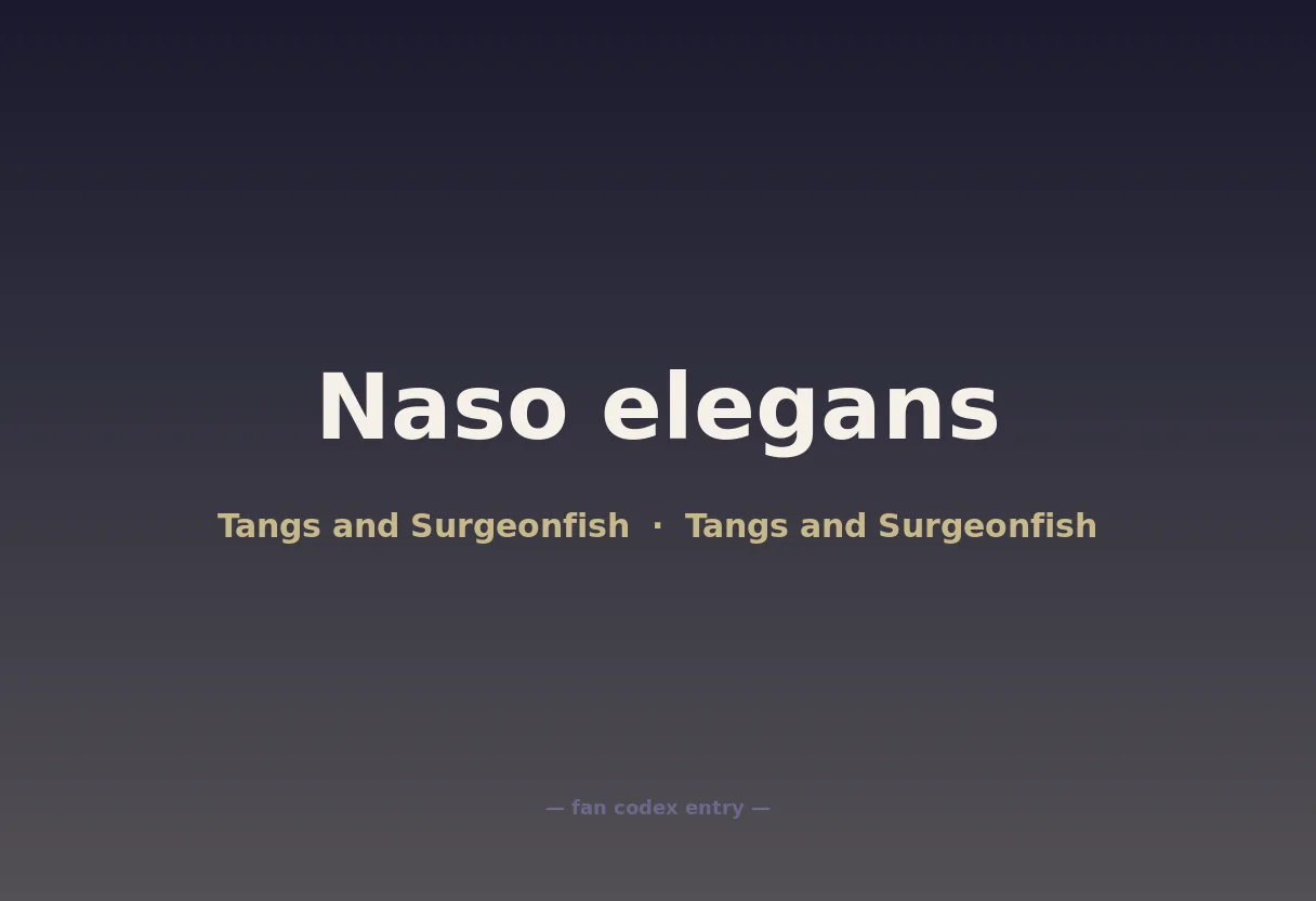 Naso elegans