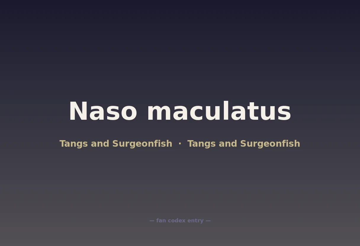 Naso maculatus