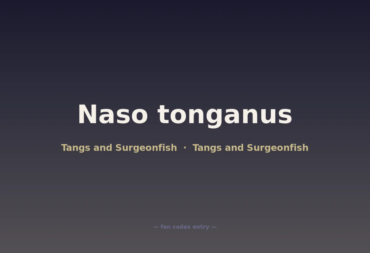 Naso tonganus