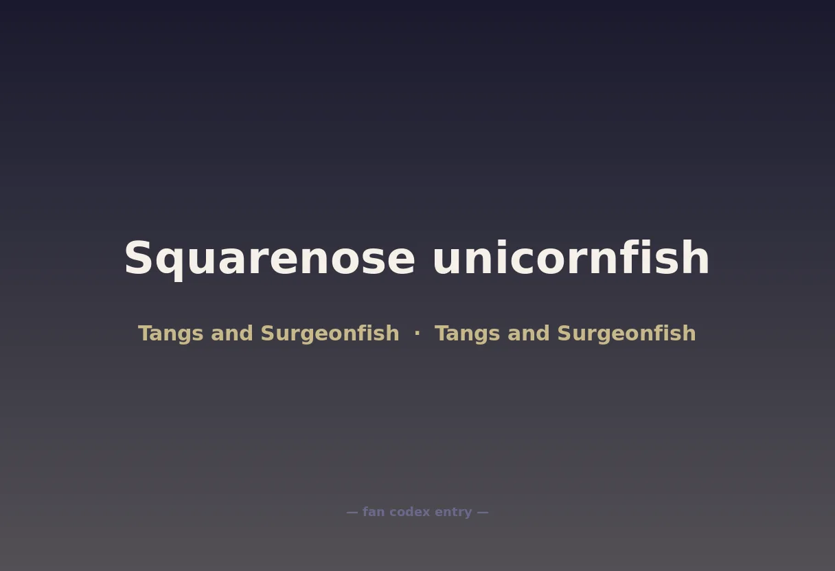 Squarenose unicornfish