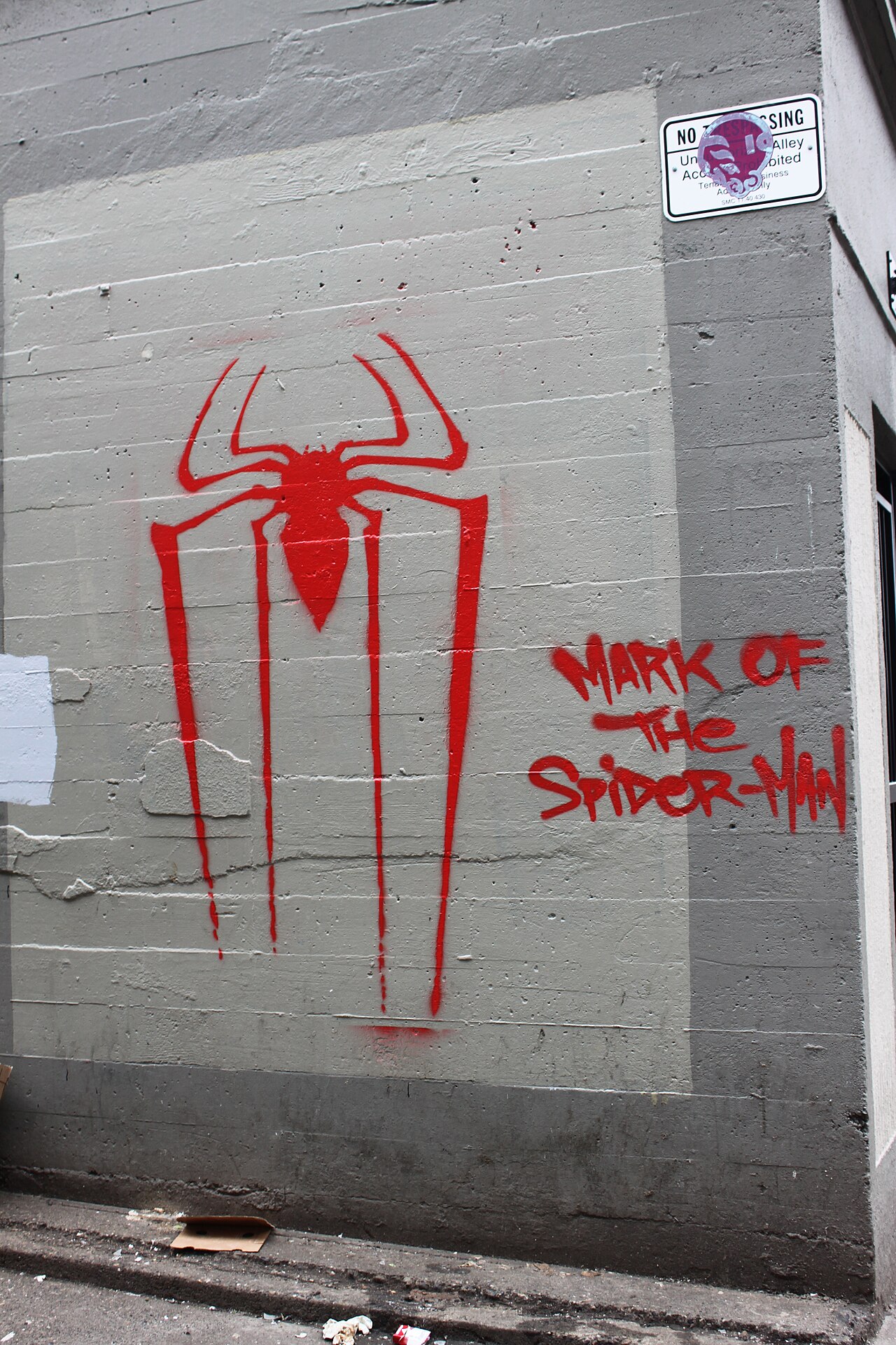 The Amazing Spider-Man (film)