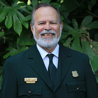 Ariel (TV series)