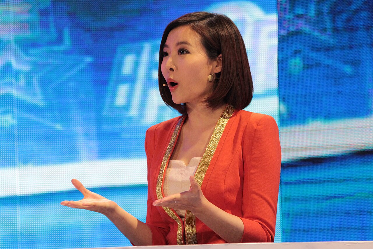 Journey to the West (2010 TV series)
