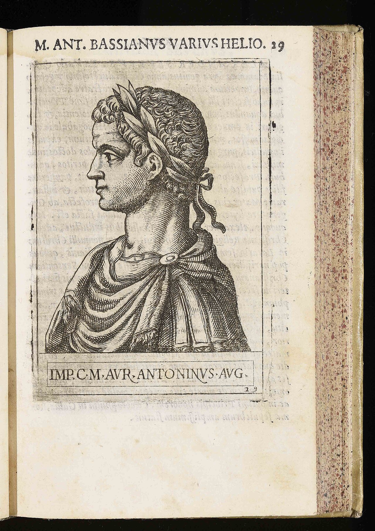 Bassianus (executed by Constantine)