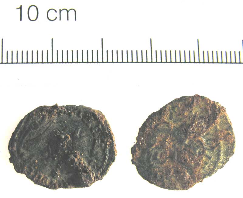 Carausius