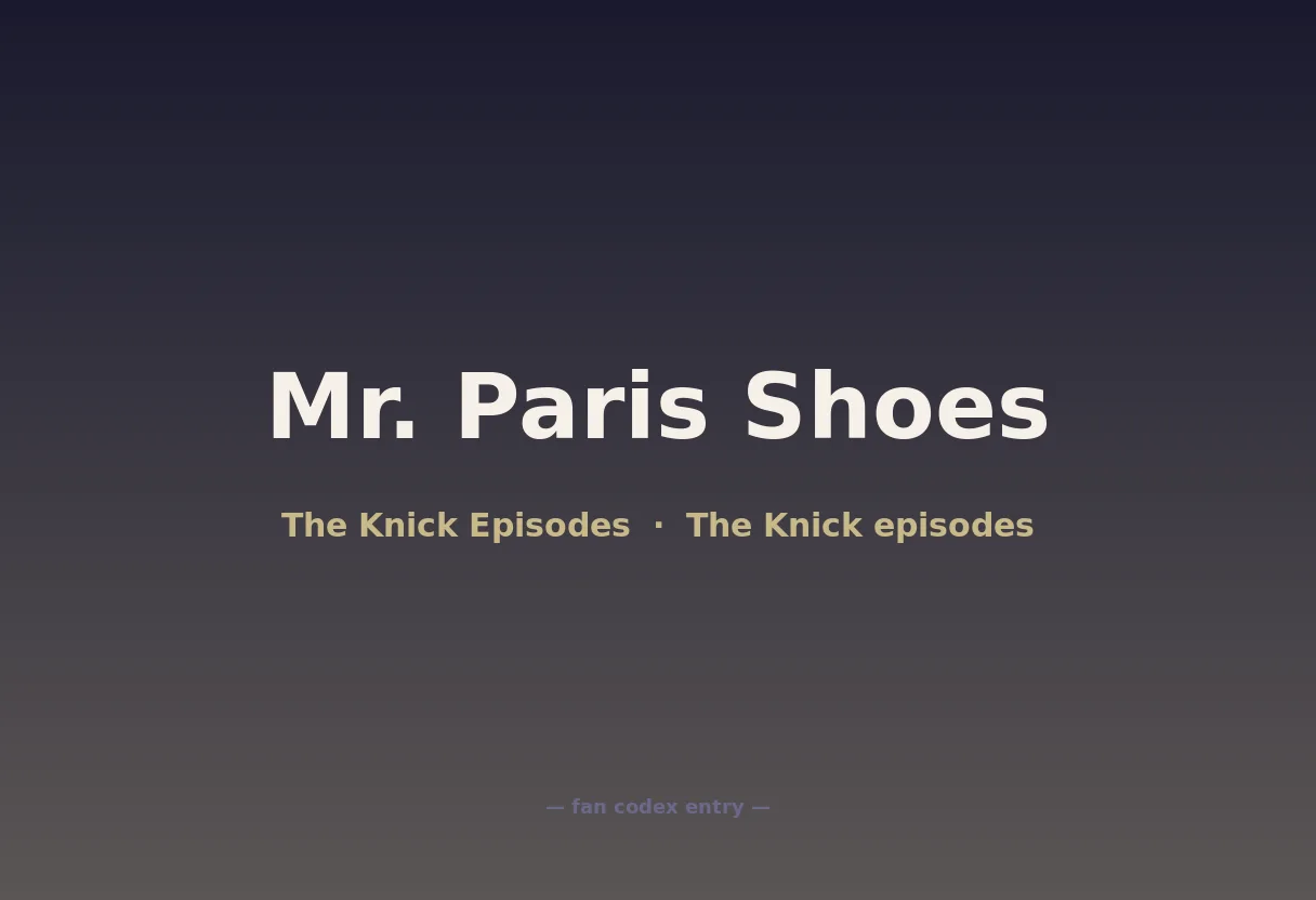 Mr. Paris Shoes