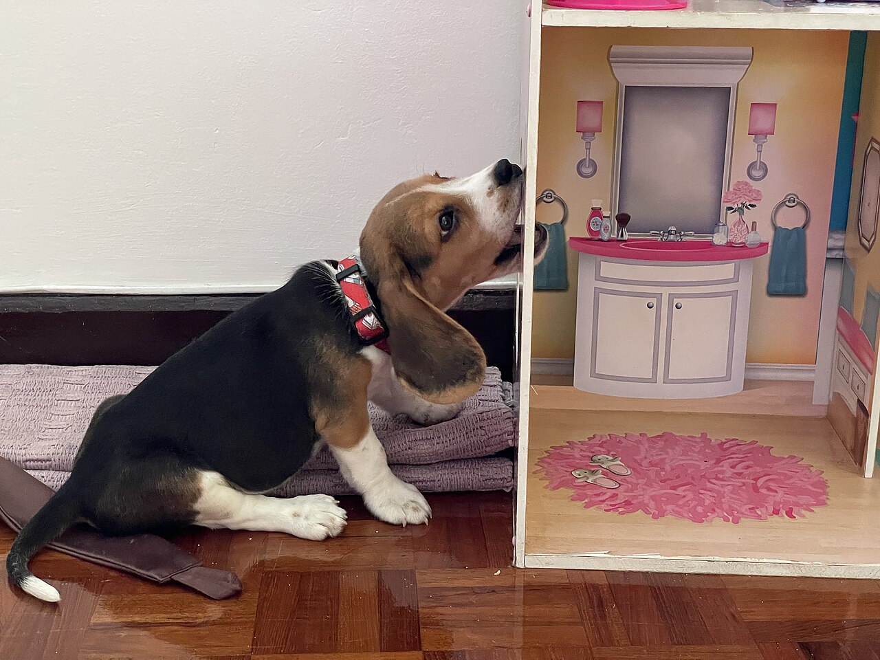 Dollhouse