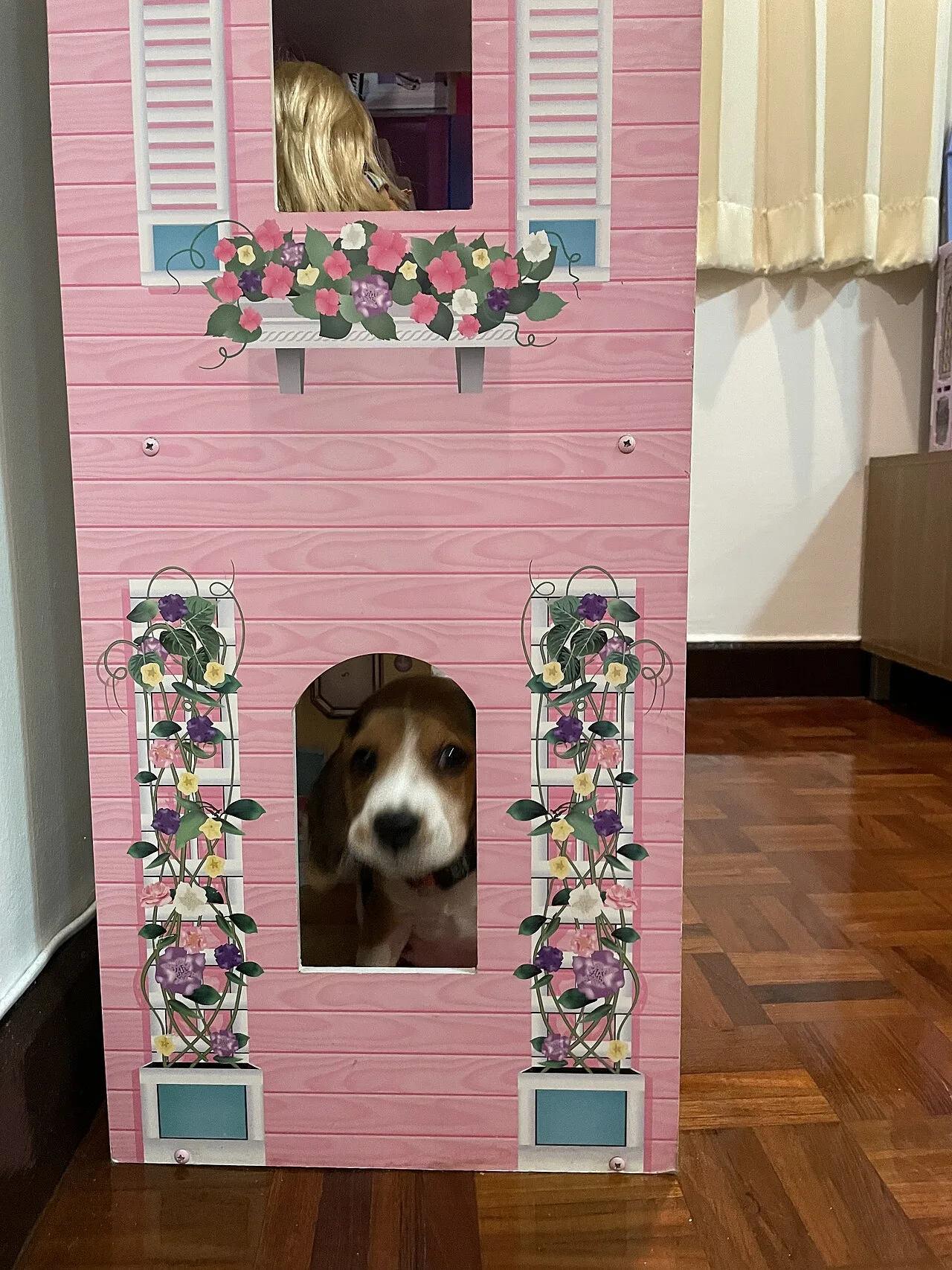Dollhouse