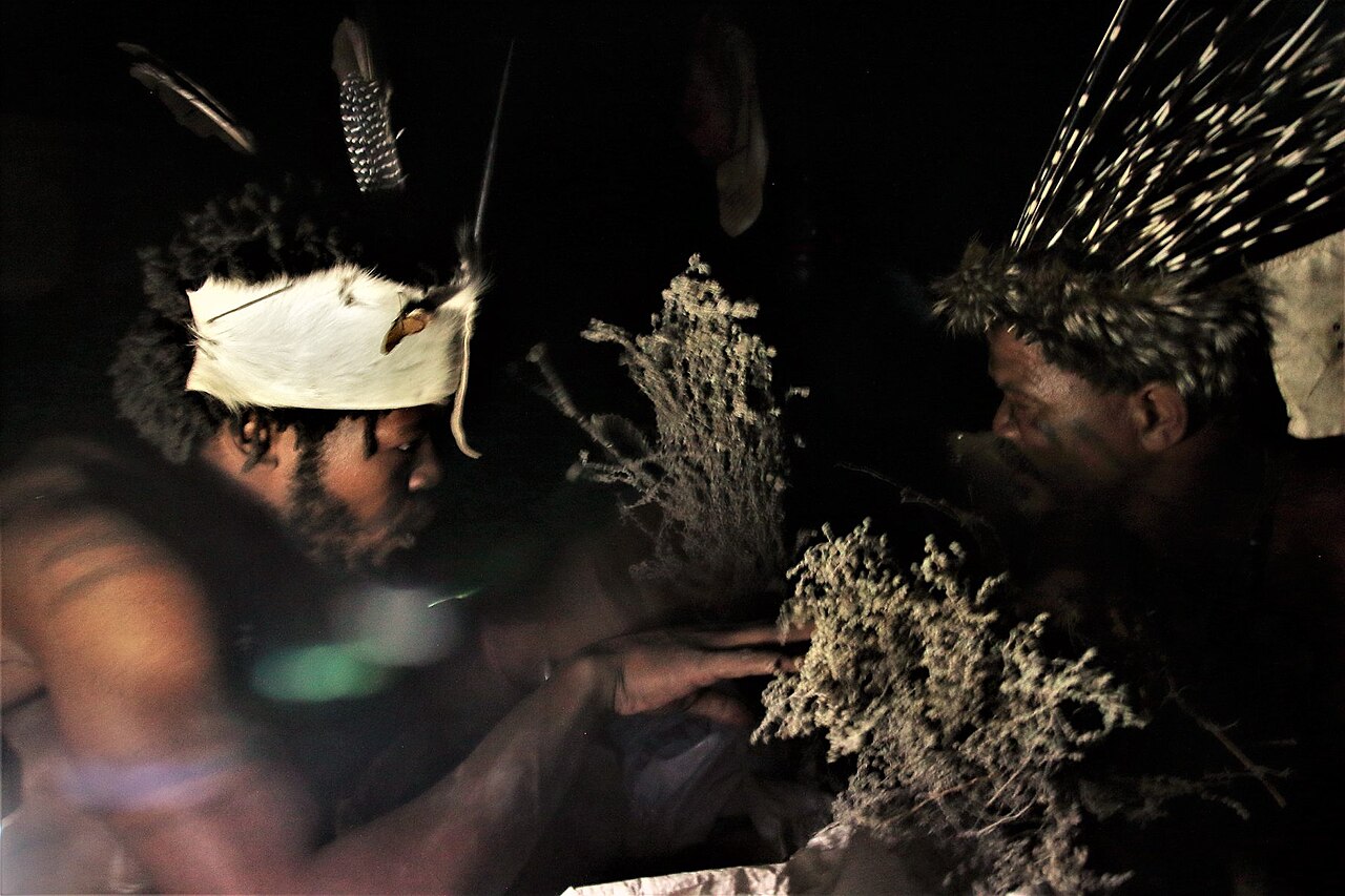 African traditional medicine