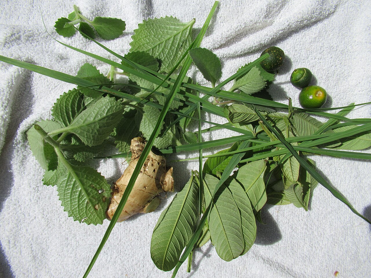Alternative medicine