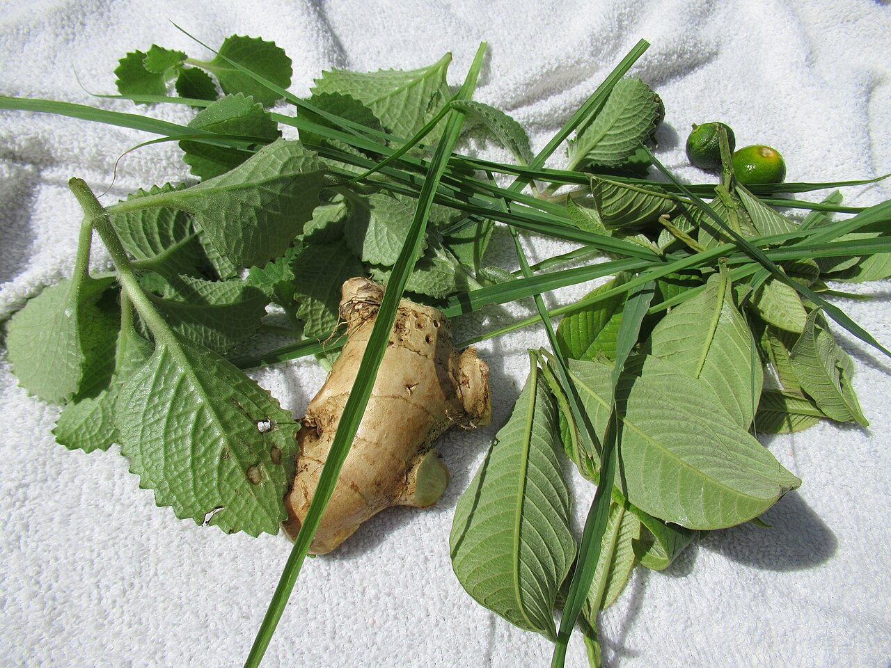 Alternative medicine