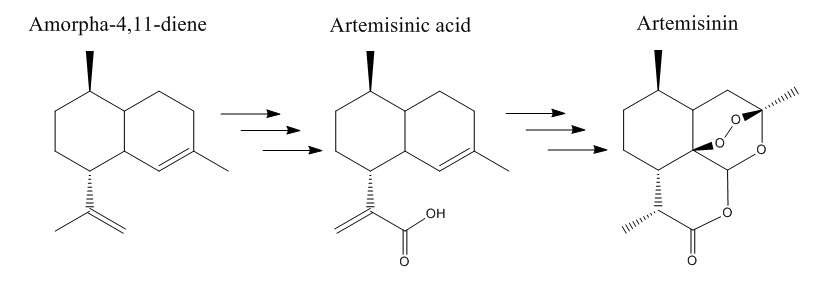 Artemisinin