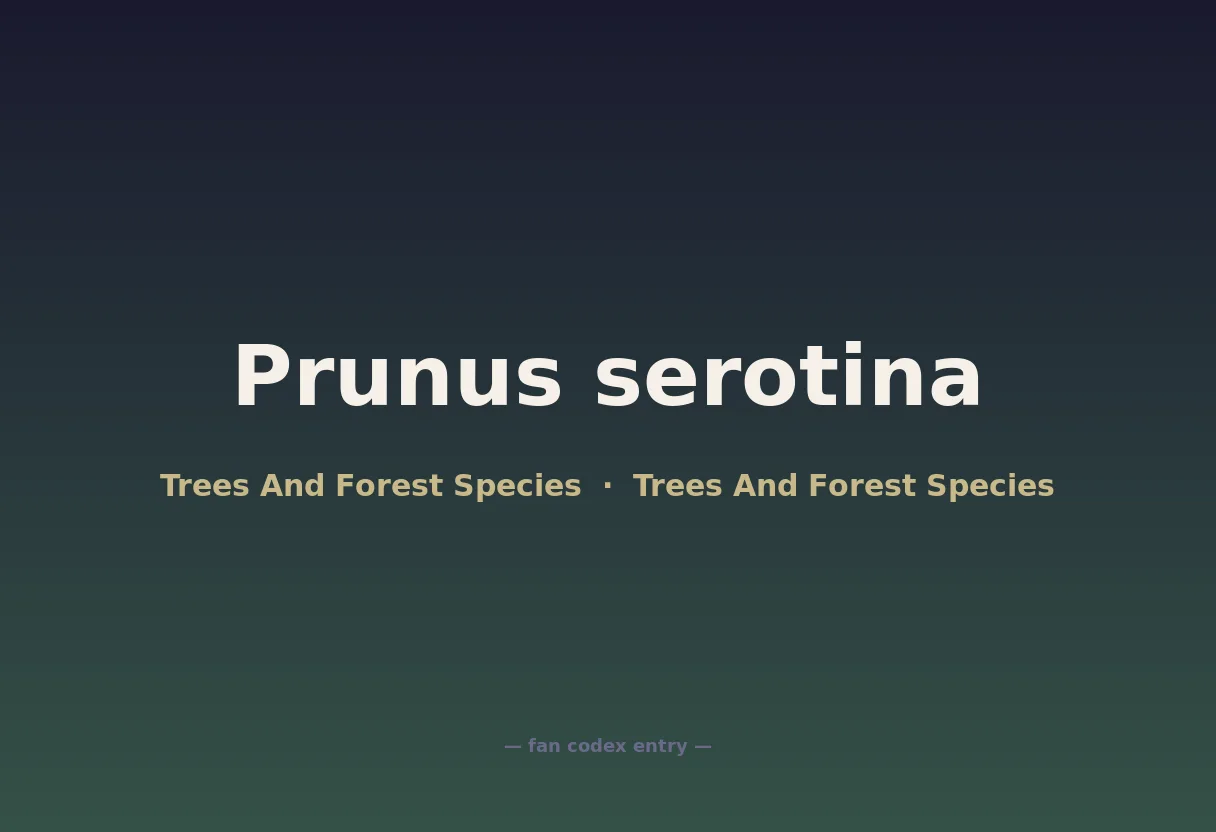 Prunus serotina