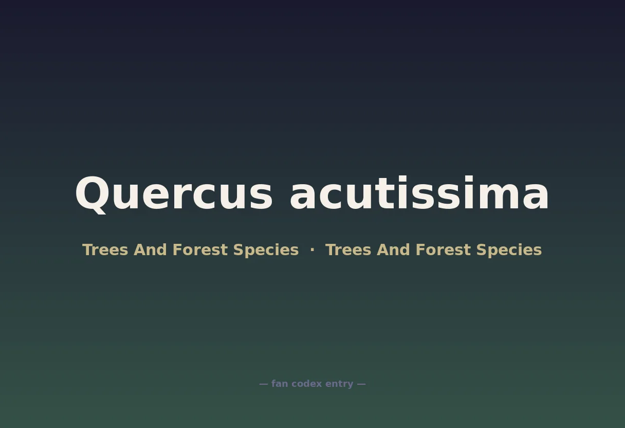 Quercus acutissima