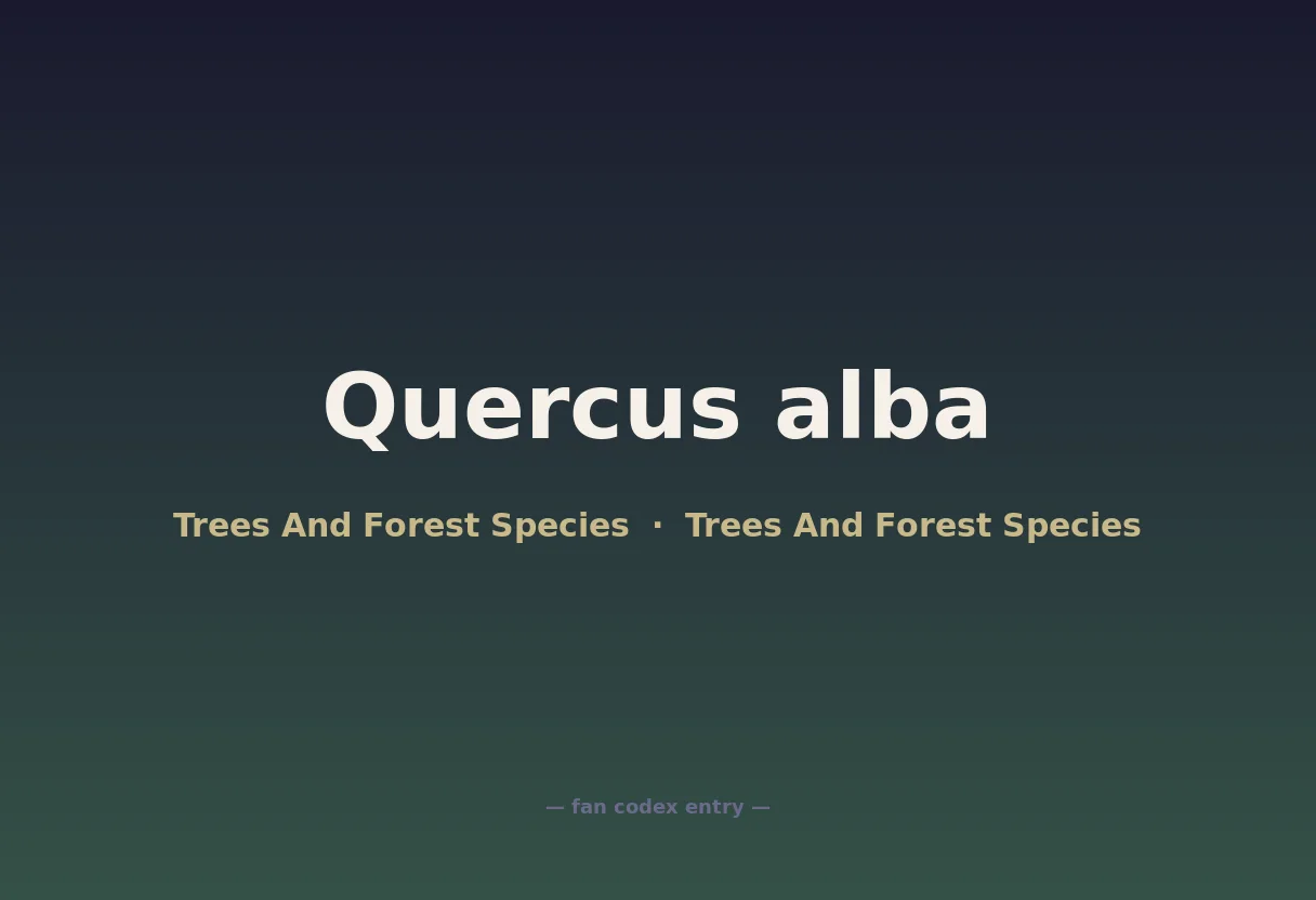 Quercus alba