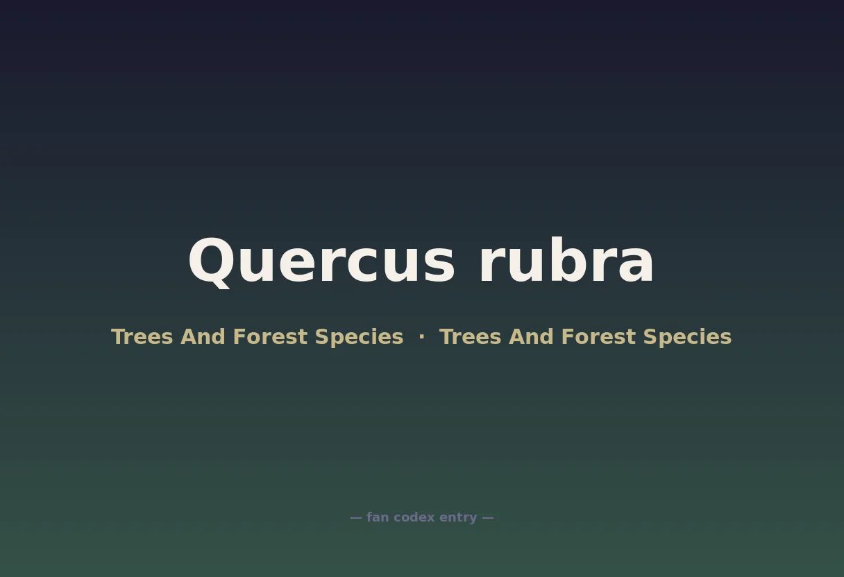 Quercus rubra
