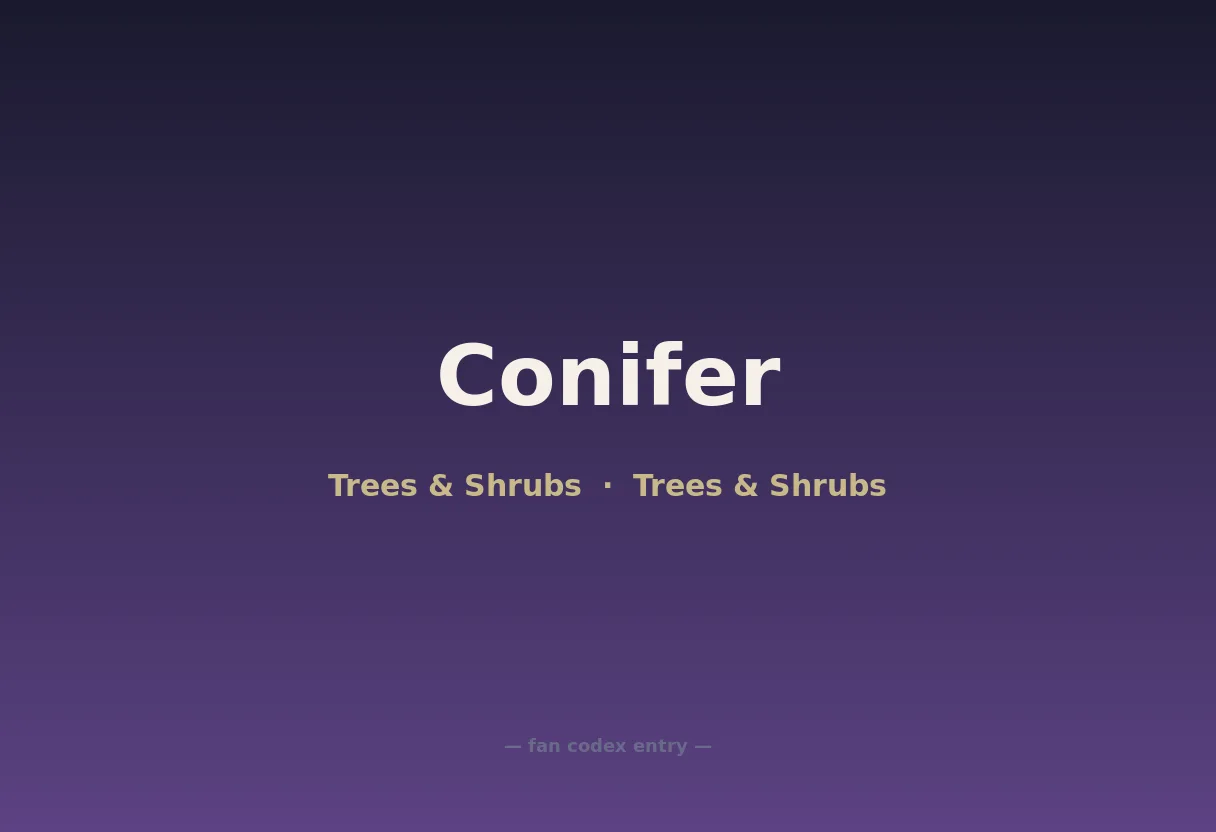 Conifer